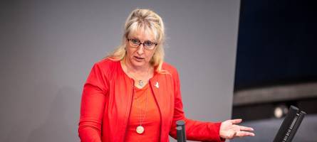 Linke beantragt Sondersitzung des Auswärtigen Ausschusses 